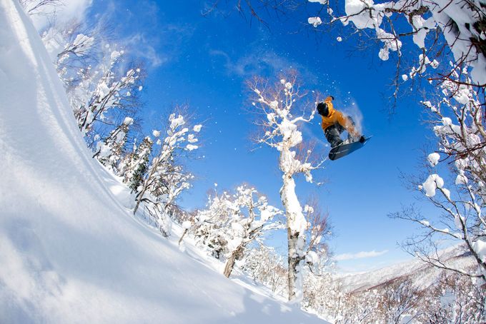 TylerChorlton_Bs1_Hokkaido_IMG_6659_MattGEORGES_1