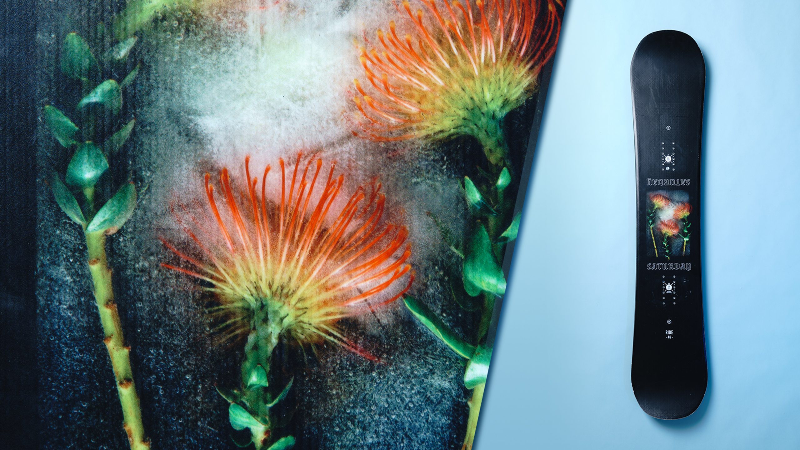 Ride Saturday 2019-2020 Women's Snowboard Revi